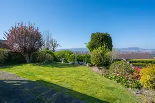 61 Castlemore AvenueImage 25